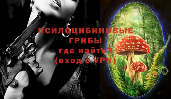 PSILOCYBIN Верхний Тагил