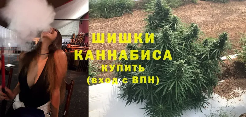 купить наркотик  blacksprut ссылки  МАРИХУАНА SATIVA & INDICA  Курильск 